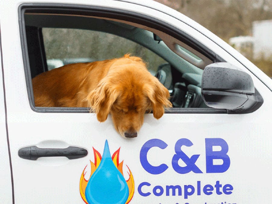 C&B Doggie Mascot in Truck